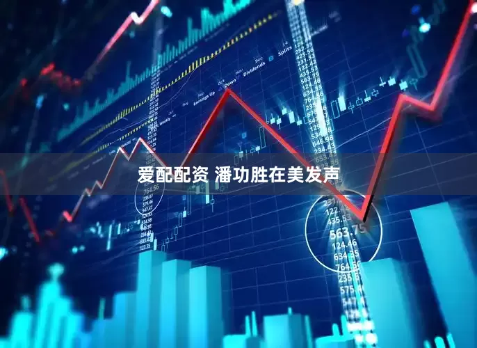 爱配配资 潘功胜在美发声
