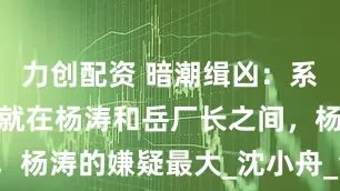 力创配资 暗潮缉凶：系列案的凶手就在杨涛和岳厂长之间，杨涛的嫌疑最大_沈小舟_金海_集团