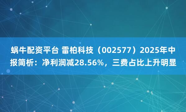 蜗牛配资平台 雷柏科技（002577）2025年中报简析：净利润减28.56%，三费占比上升明显