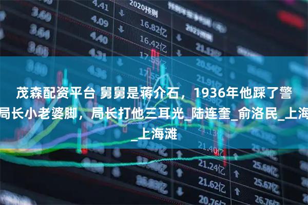 茂森配资平台 舅舅是蒋介石，1936年他踩了警察局长小老婆脚，局长打他三耳光_陆连奎_俞洛民_上海滩