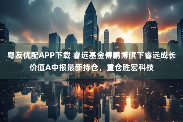 粤友优配APP下载 睿远基金傅鹏博旗下睿远成长价值A中报最新持仓，重仓胜宏科技