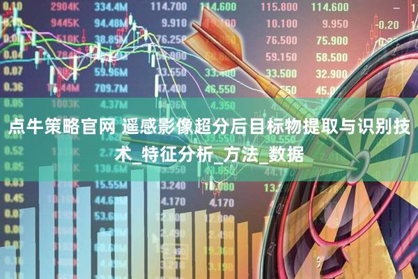 点牛策略官网 遥感影像超分后目标物提取与识别技术_特征分析_方法_数据